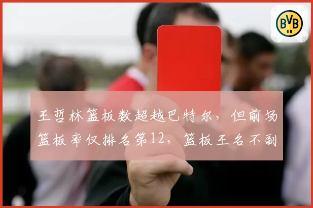 王哲林篮板数超越巴特尔,但前场篮板率仅排名第12,篮板王名不副实遭球迷吐槽